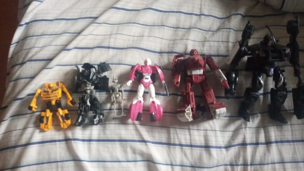 Transformers Authentics Arcee In Hand Image  (8 of 9)